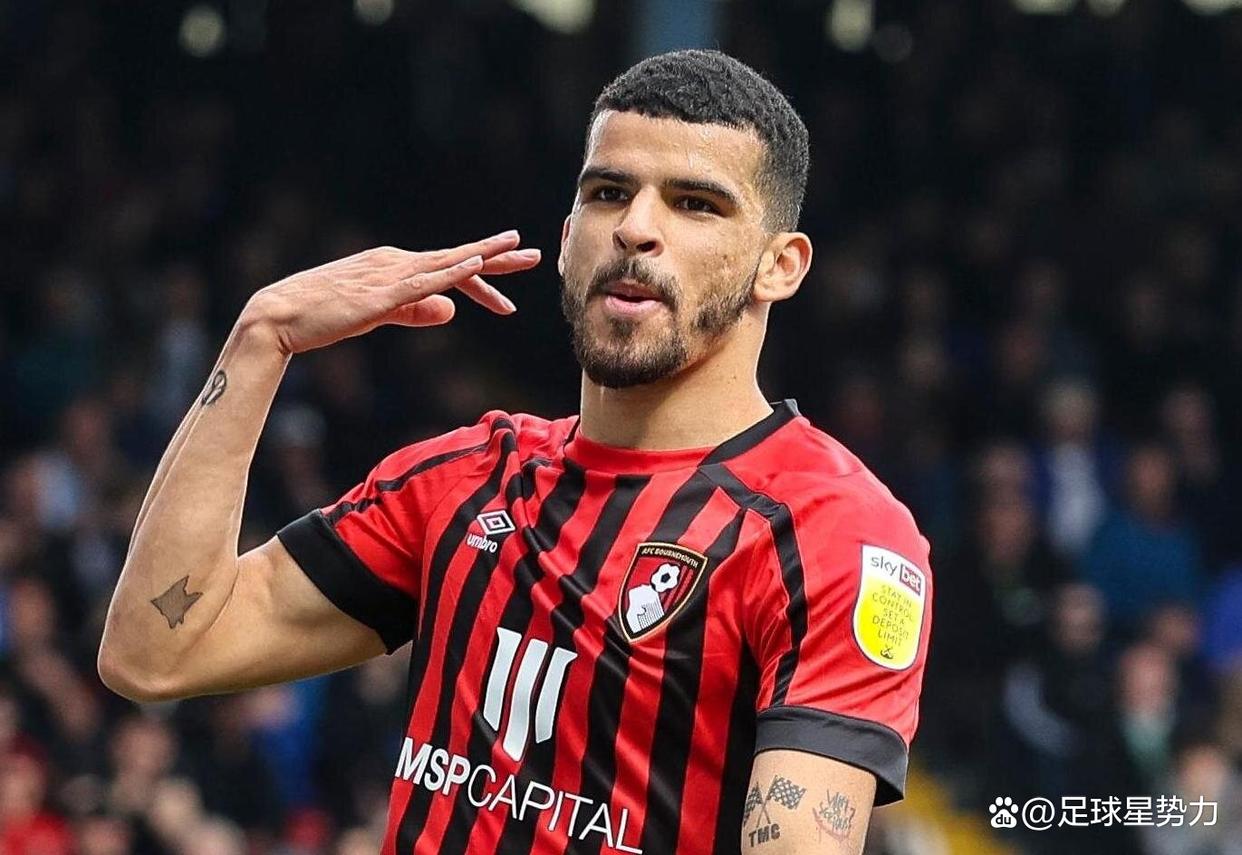 包含伯恩茅斯主场取胜，积分榜稍有起色的词条