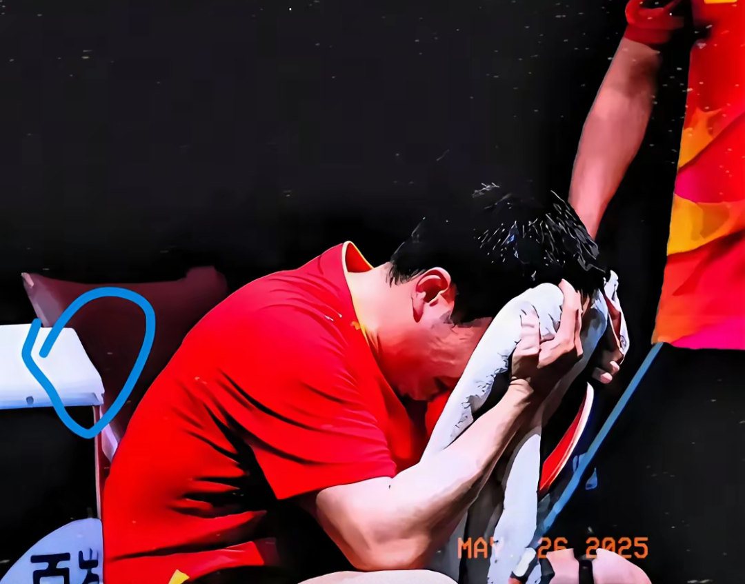 中国队横扫瑞典队，梁靖崑惊艳四座的简单介绍