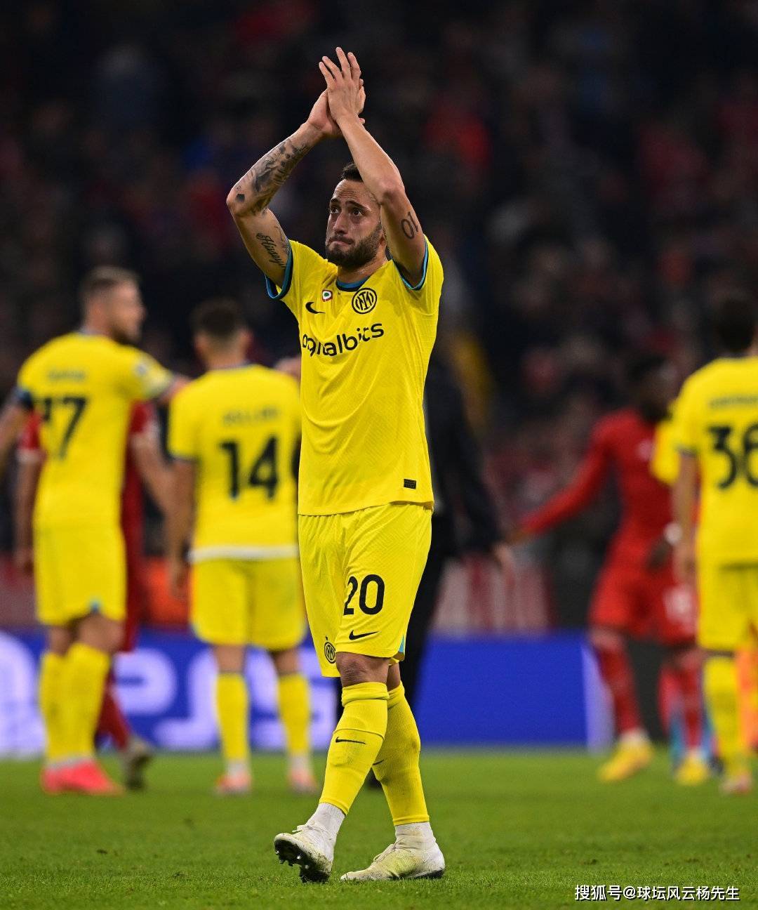 瑞阿尔城主场-与贝赫勒逼平,难以下决心的简单介绍 瑞阿尔城主场-与贝赫勒逼平,难以下决心的简单介绍