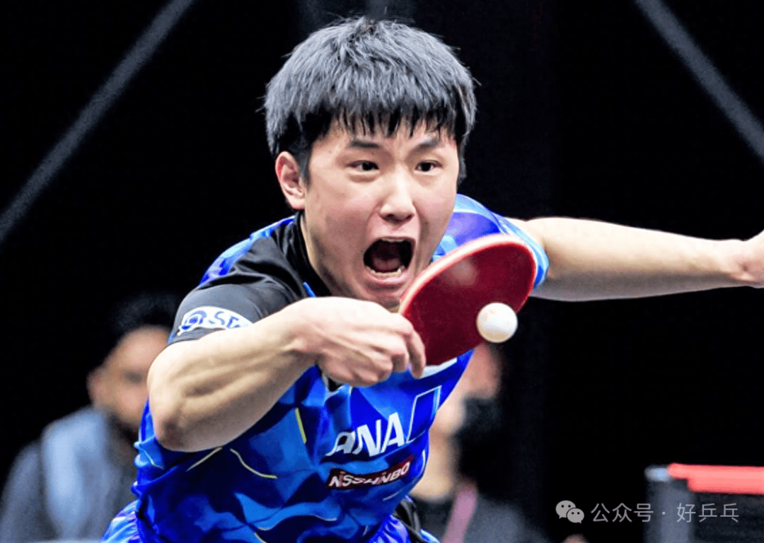 韩国队横扫波兰队,张本智和点燃赛场 韩国队横扫波兰队,张本智和点燃赛场
