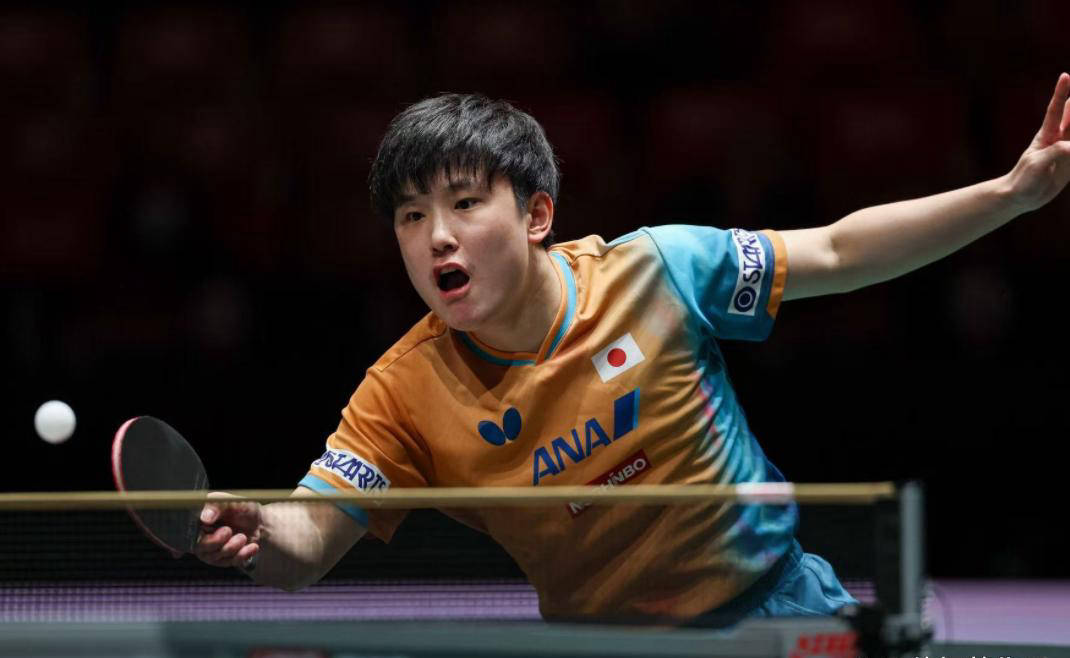 韩国队横扫波兰队,张本智和点燃赛场 韩国队横扫波兰队,张本智和点燃赛场