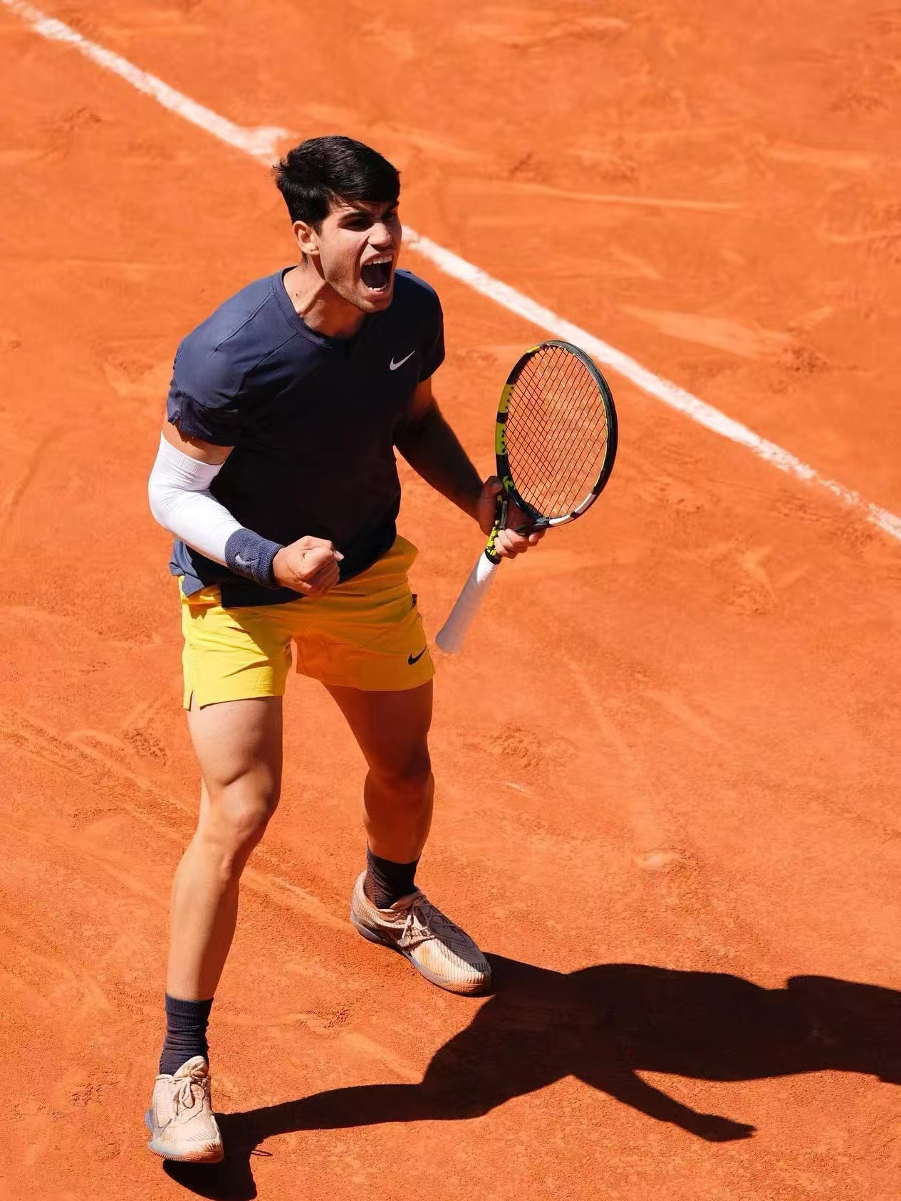 拉沃尔杯轻取ATP总决赛，穆雷点燃赛场的简单介绍