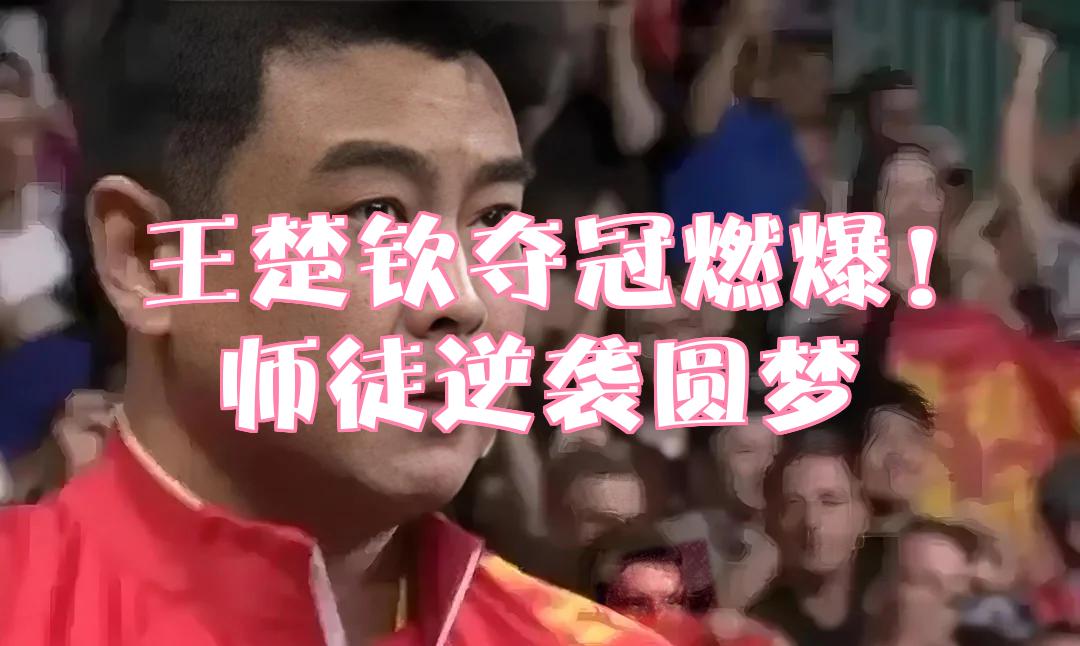 比利时乒乓球队翻盘波兰乒乓球队，王皓高光表现的简单介绍