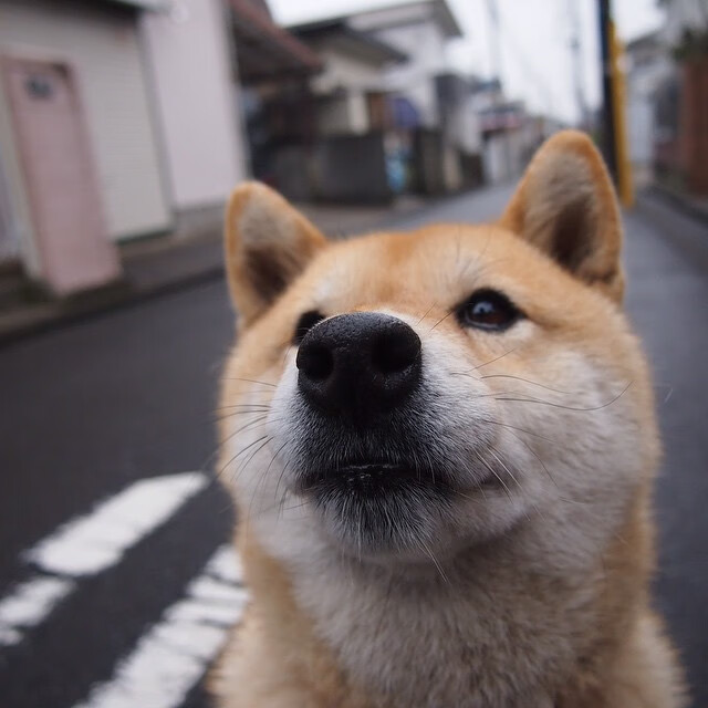 鹈鹕展翅，稳稳啄破浙江防线—霍勒迪赛后评分拉满的背后