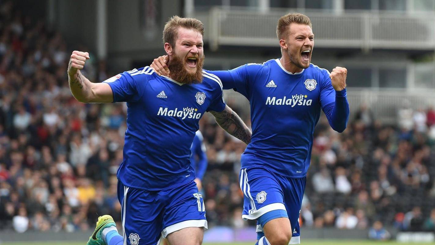 卡迪夫城主场取胜积分榜位置逐渐上升的简单介绍 卡迪夫城主场取胜积分榜位置逐渐上升的简单介绍