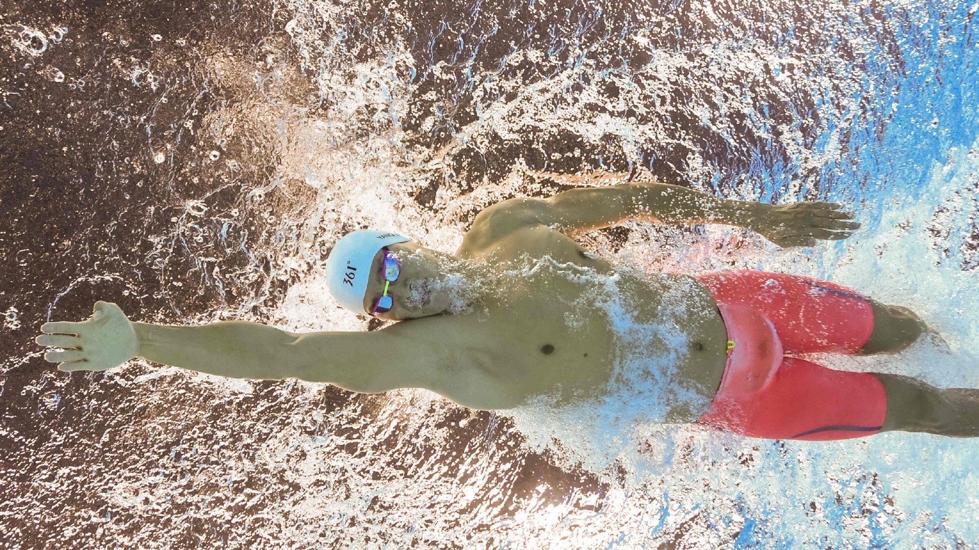 当福克斯的利爪撕裂印城防线，一场关于速度、智慧与统治的独白